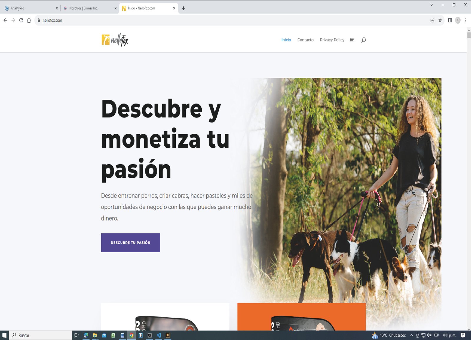 Nellfox caso de éxito